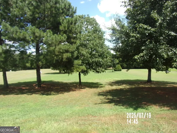 a view of a tree in the middle of a yard