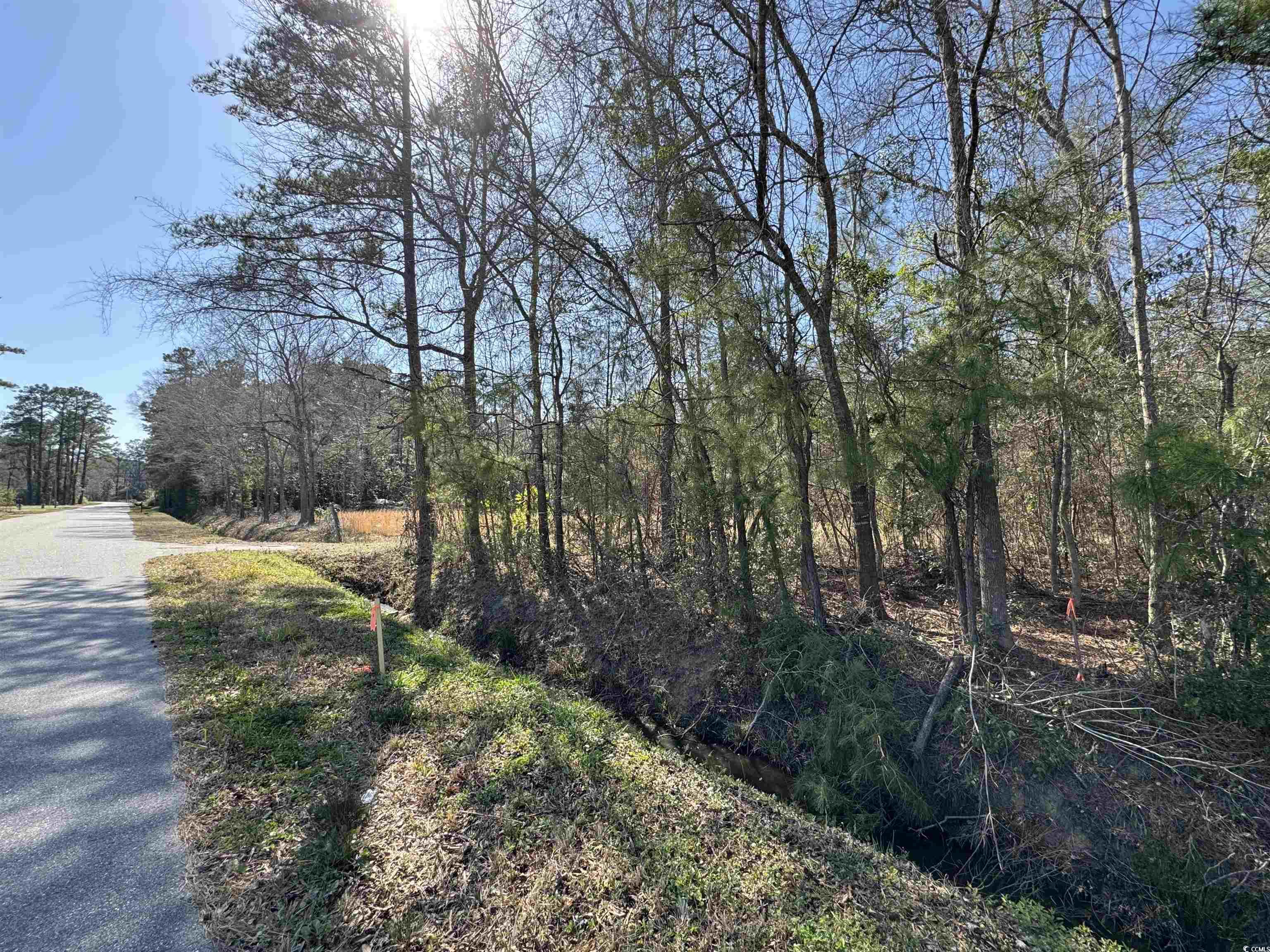 Tbd Copperhead Road Conway, SC 29527 - Photo 3 of 4 Gallery Image 3