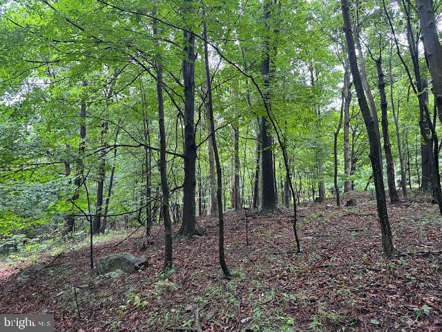 Lot 61 High Mountain View Road Romney, WV 26757 - Photo 7 of 9