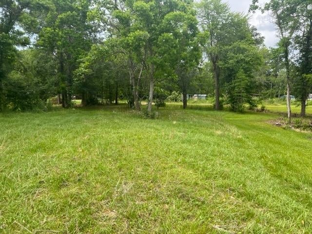 16562 Gantt Lake Road Dozier, AL 36028 - Photo 2 of 42 Gallery Image 2