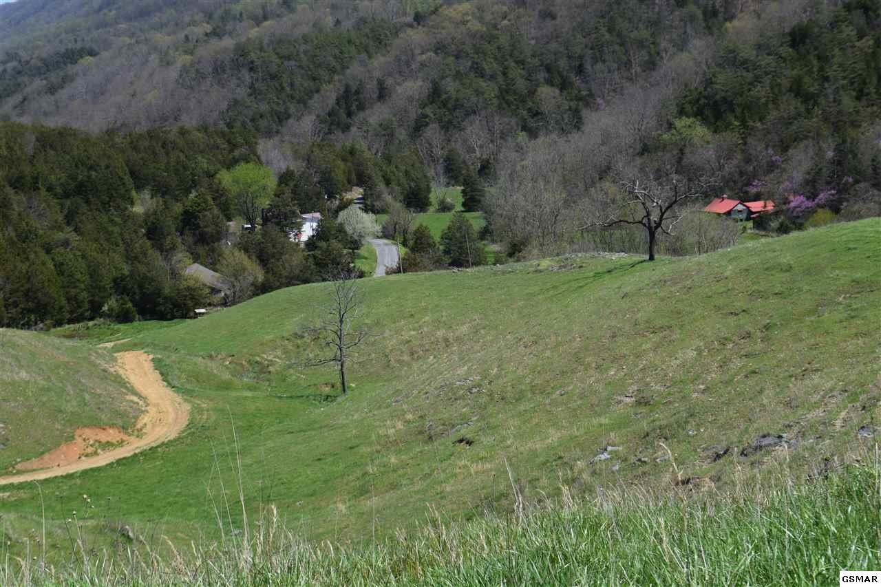 617 War Creek Road Eidson, TN 37731 - Photo 25 of 35