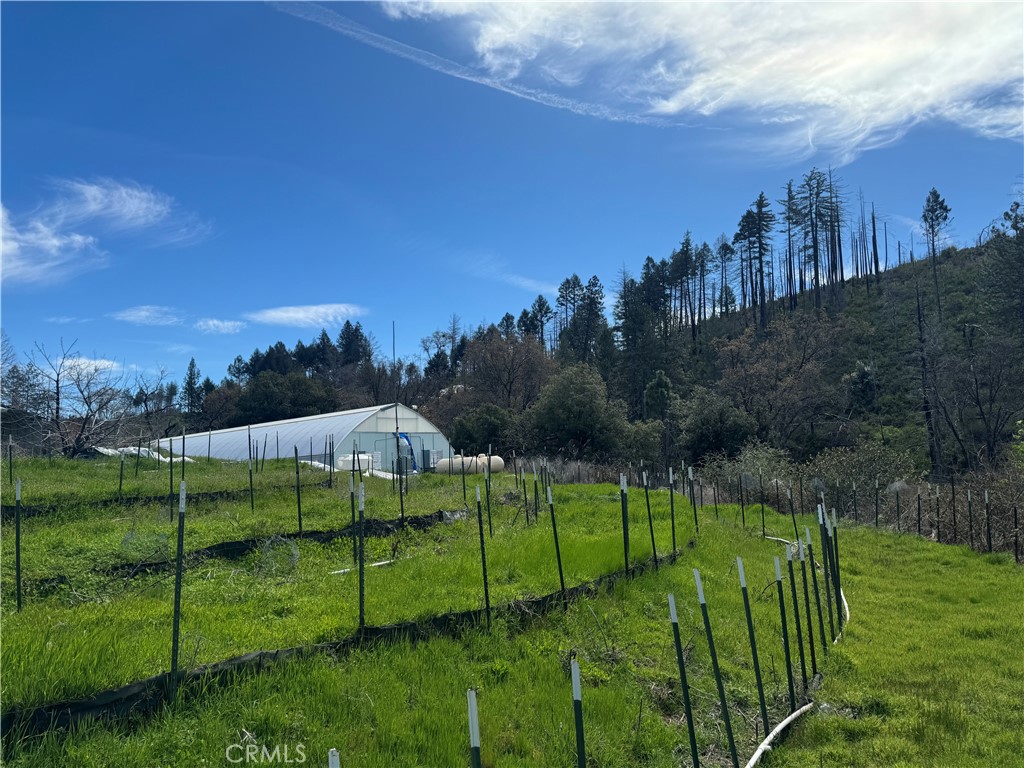 3738 Pinkston Canyon Road Oroville, CA 95965 - Photo 13 of 24 Terraced garden area