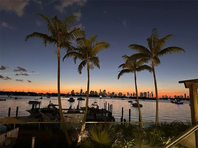 a lake view with palm tree