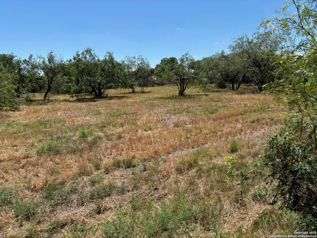 a view of a yard with trees in the background