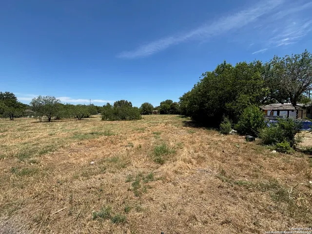 a view of a yard with large trees