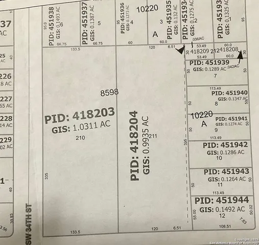 a view of a street with a large trees