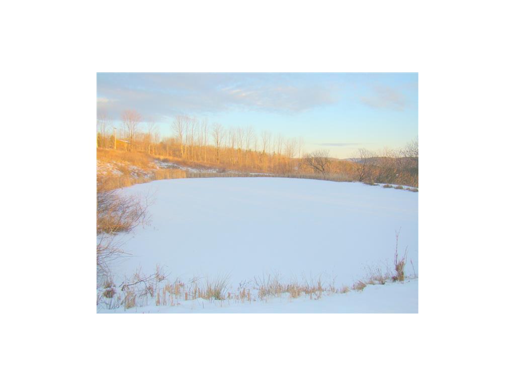 371 Castleman Road Vestal, NY 13850 - Photo 17 of 22 Gallery Image 17