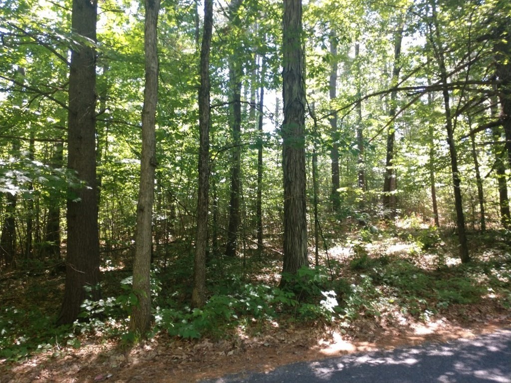 Lot 1 Merrifield Road Bernardston, MA 01337 - Photo 1 of 6 Gallery Image 1
