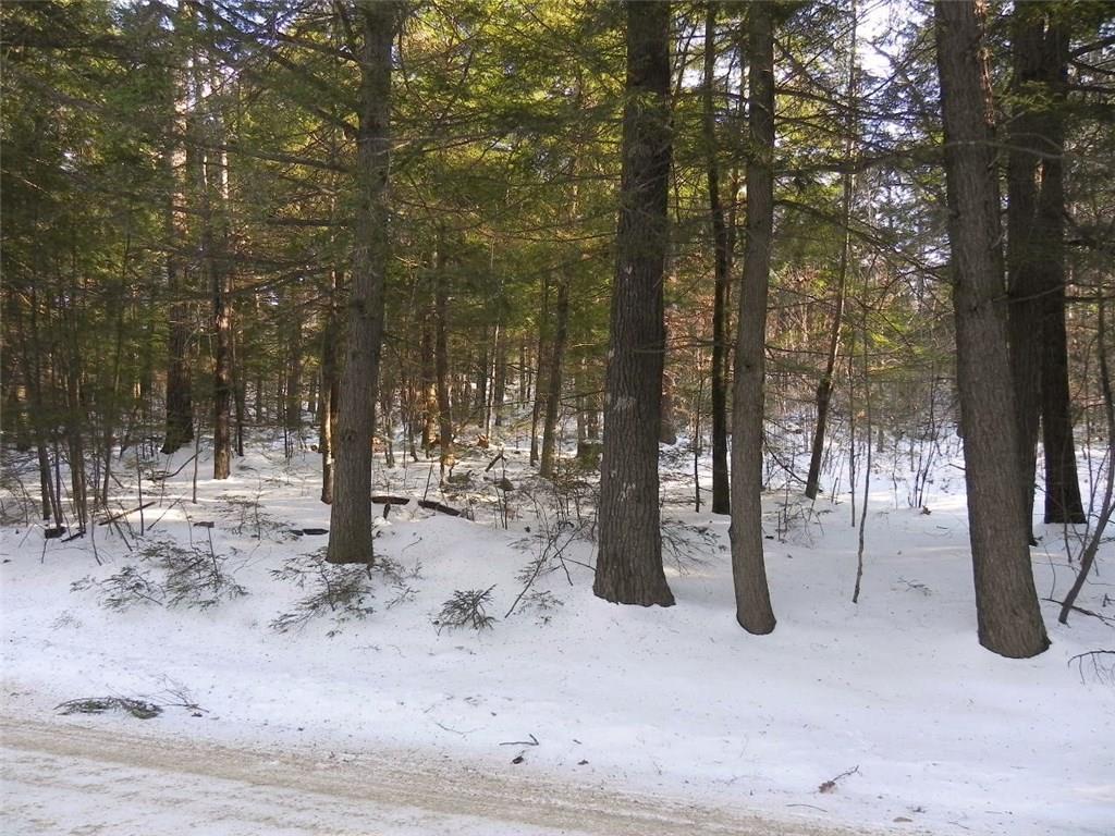 Lot 0-2 Milbrook Road Bridgton, ME 04009 - Photo 3 of 4 Photo