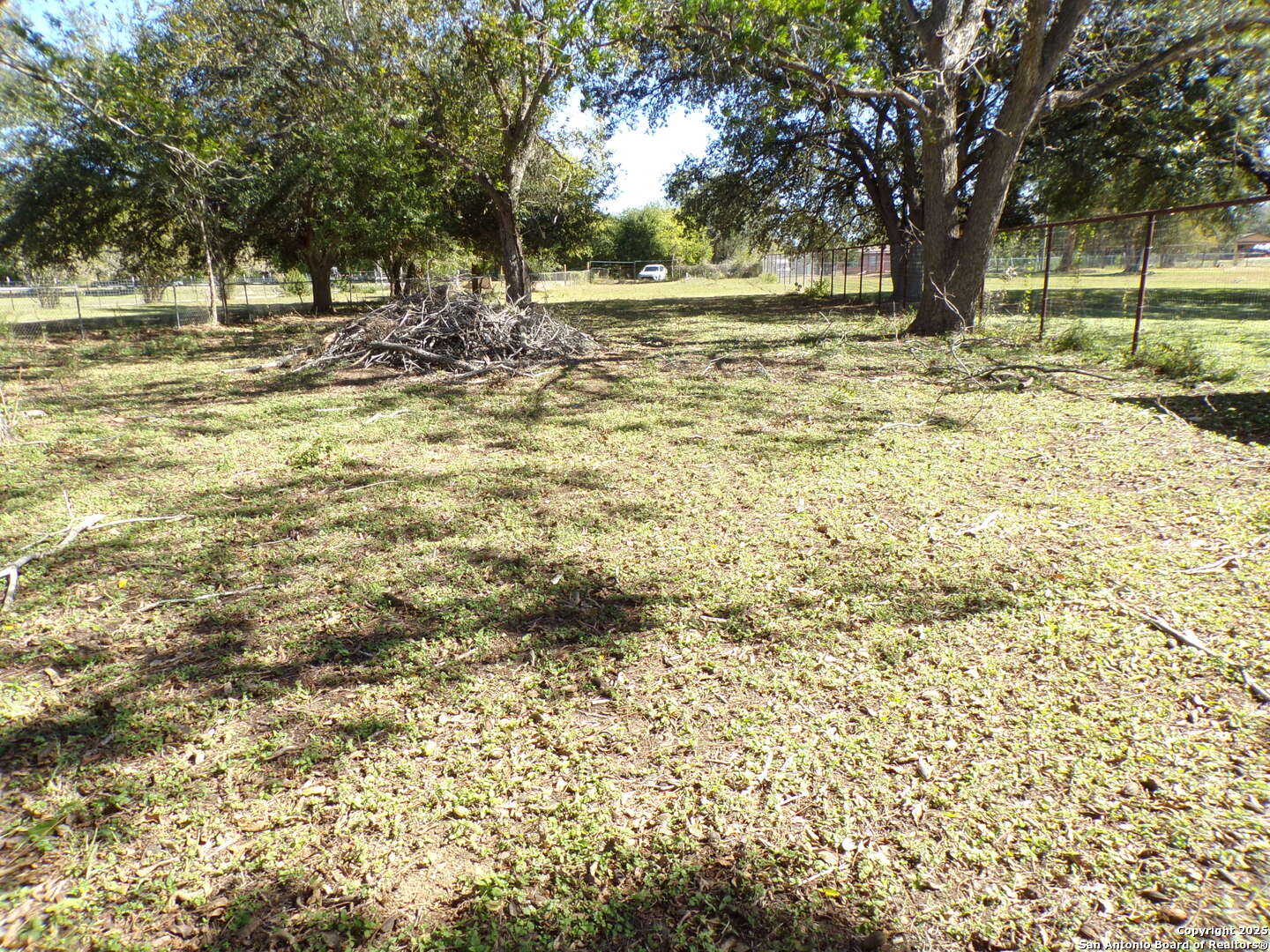 12035 Kearney Road Atascosa, TX 78002 - Photo 11 of 12 a view of a yard with a tree