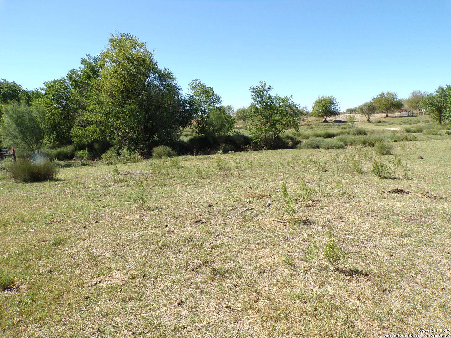 12035 Kearney Road Atascosa, TX 78002 - Photo 4 of 12 a view of big yard with trees