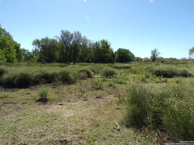a view of a green field with lots of bushes