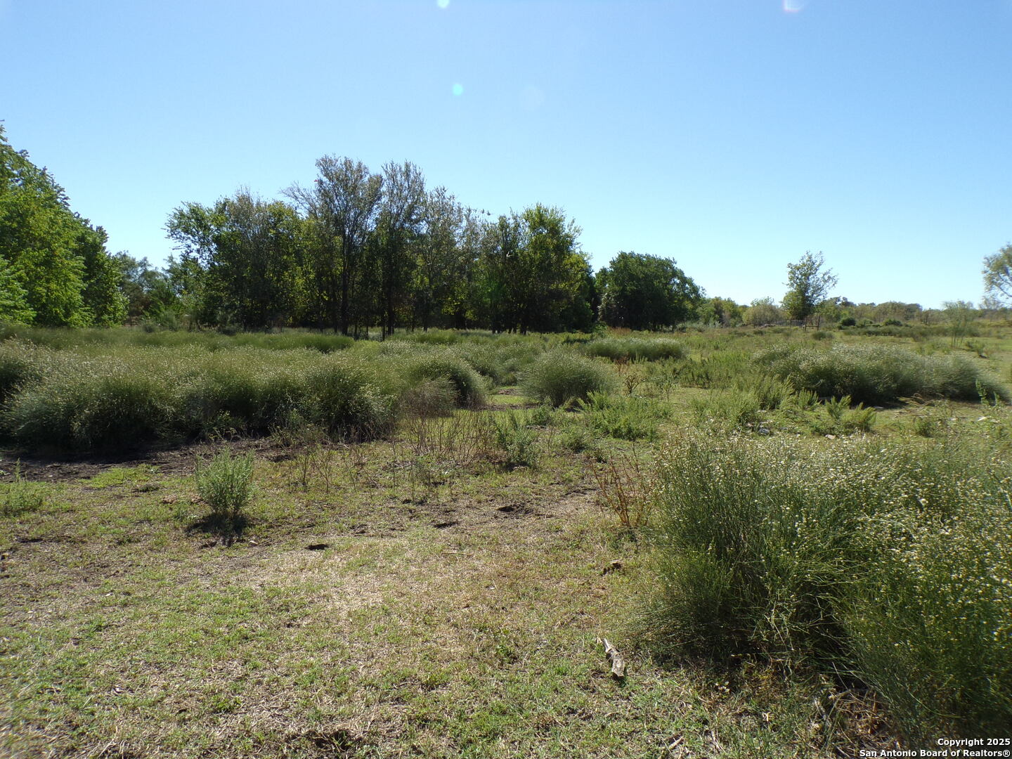12035 Kearney Road Atascosa, TX 78002 - Photo 5 of 12 a view of a green field with lots of bushes