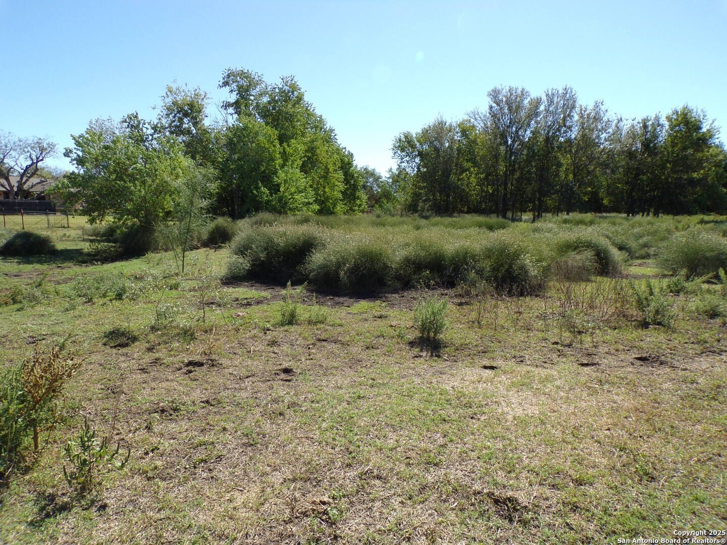 12035 Kearney Road Atascosa, TX 78002 - Photo 7 of 12