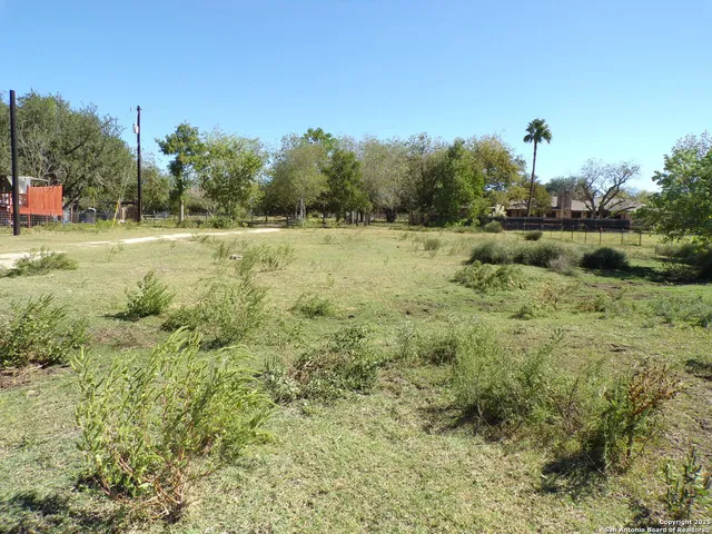 a view of a green field with lots of bushes