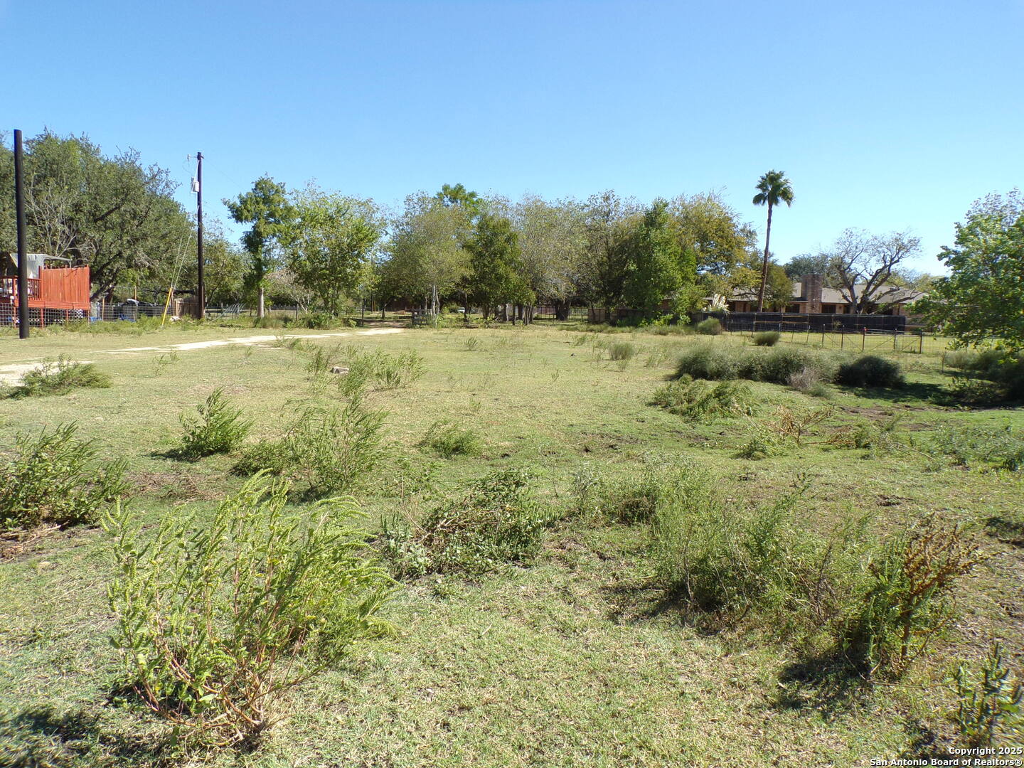 12035 Kearney Road Atascosa, TX 78002 - Photo 7 of 12 a view of a green field with lots of bushes