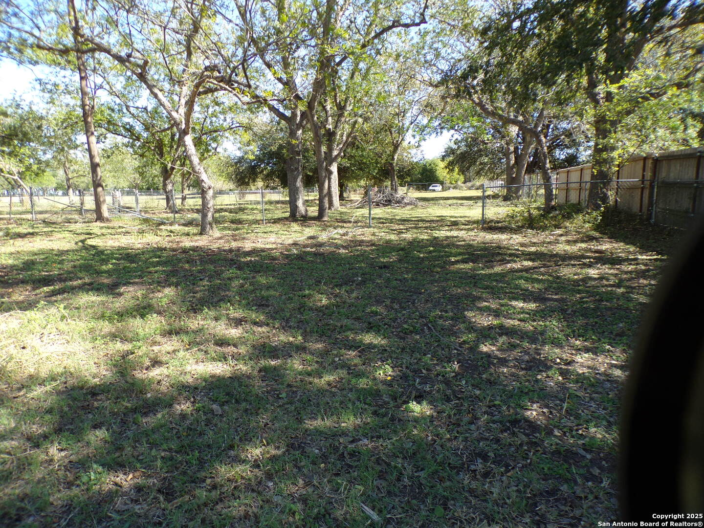 12035 Kearney Road Atascosa, TX 78002 - Photo 10 of 12 a view of yard with trees