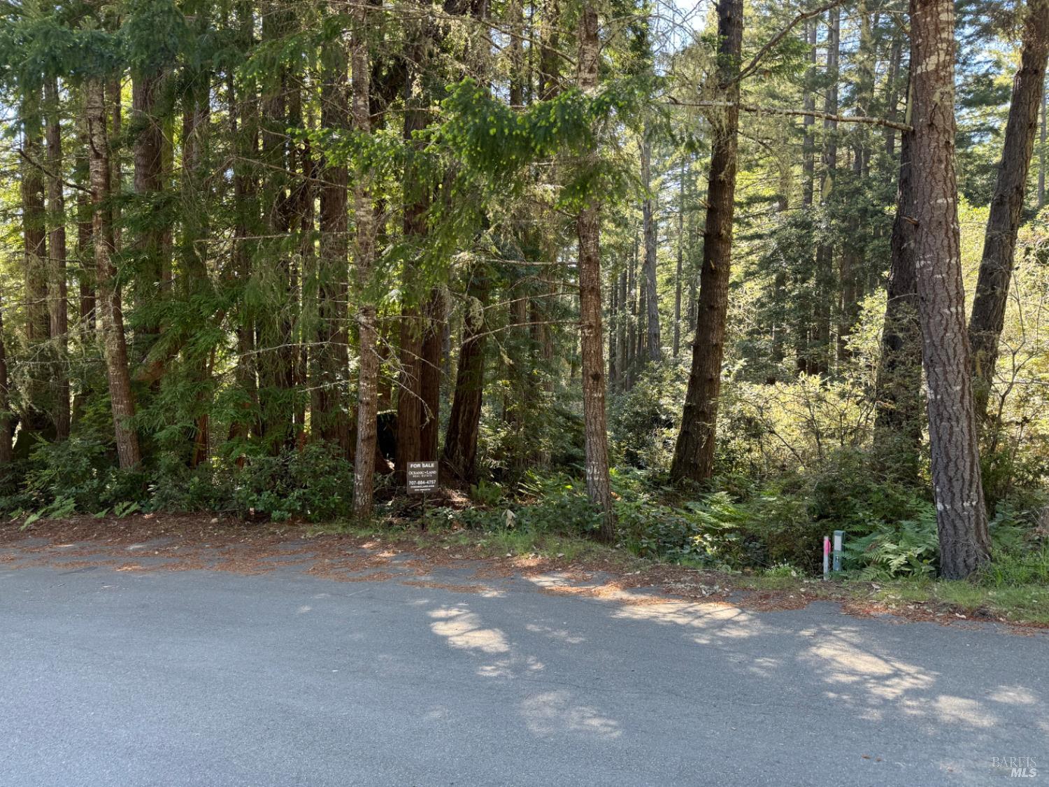 369 Big Tree Close, Unit 27A13 The Sea Ranch, CA 95497 - Photo 11 of 11 a view of a field with trees in the background