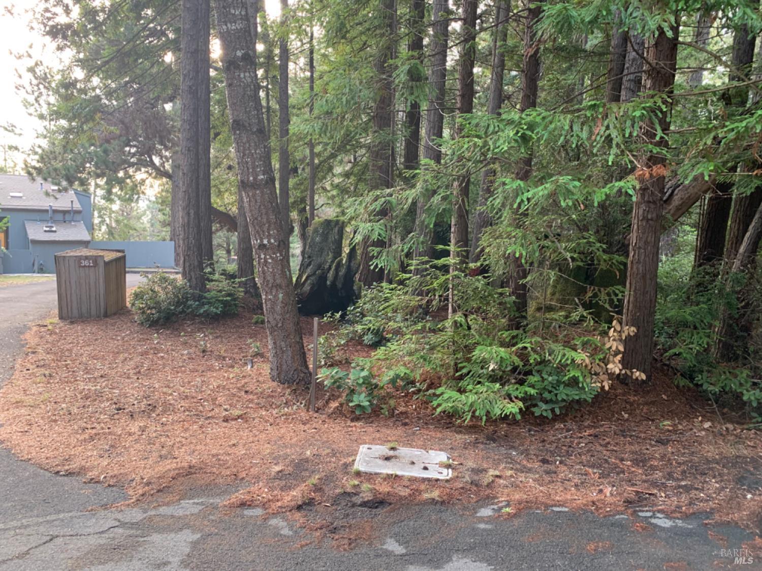 369 Big Tree Close, Unit 27A13 The Sea Ranch, CA 95497 - Photo 3 of 11 a view of a backyard with potted plants and large trees