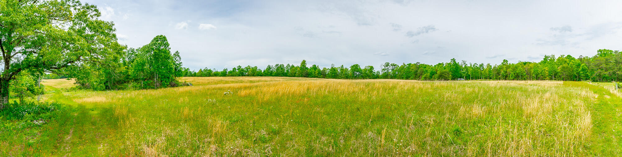 0 Ray Gadd Road Graysville, TN 37338 - Photo 58 of 109 Ray Gadd Road Lot HD-50