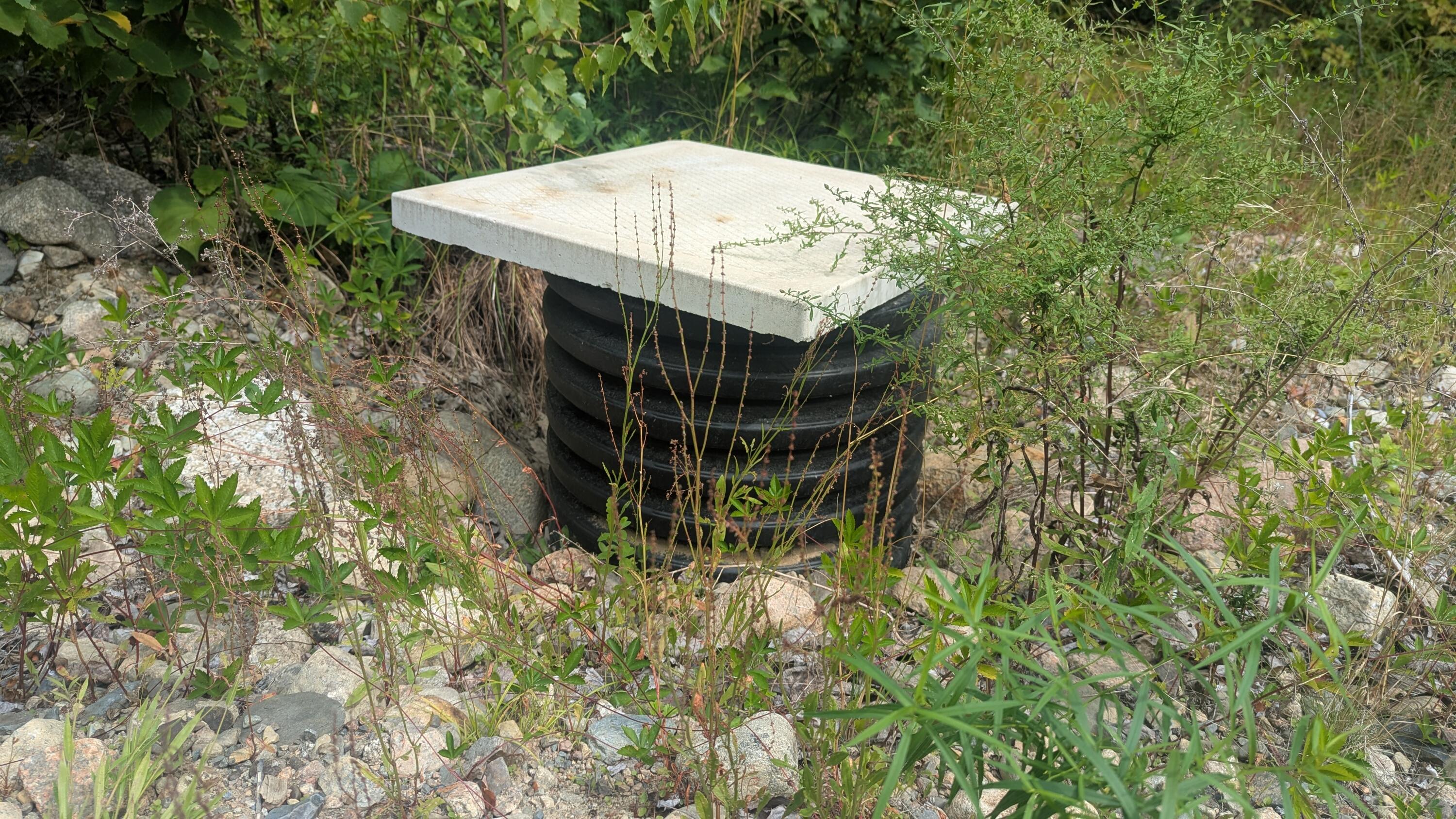 Tbd Station Road Pembroke, ME 04666 - Photo 6 of 9 PXL_20250820_162256145