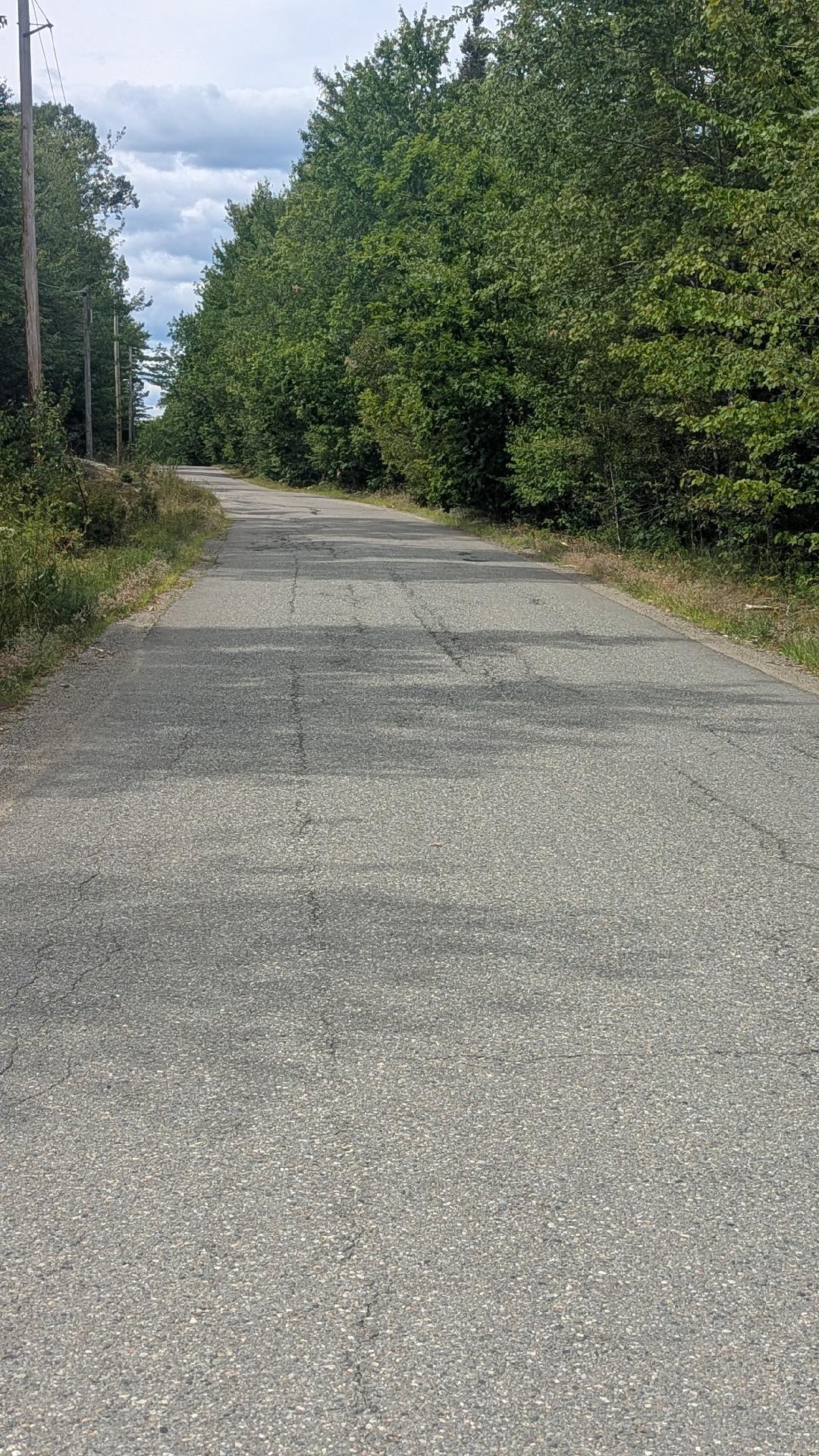 Tbd Station Road Pembroke, ME 04666 - Photo 7 of 9 thumbnail (17)