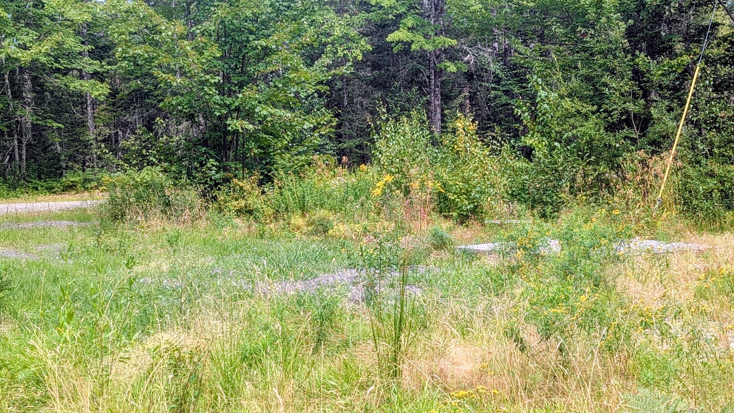 Tbd Station Road Pembroke, ME 04666 - Photo 8 of 9 1000007712