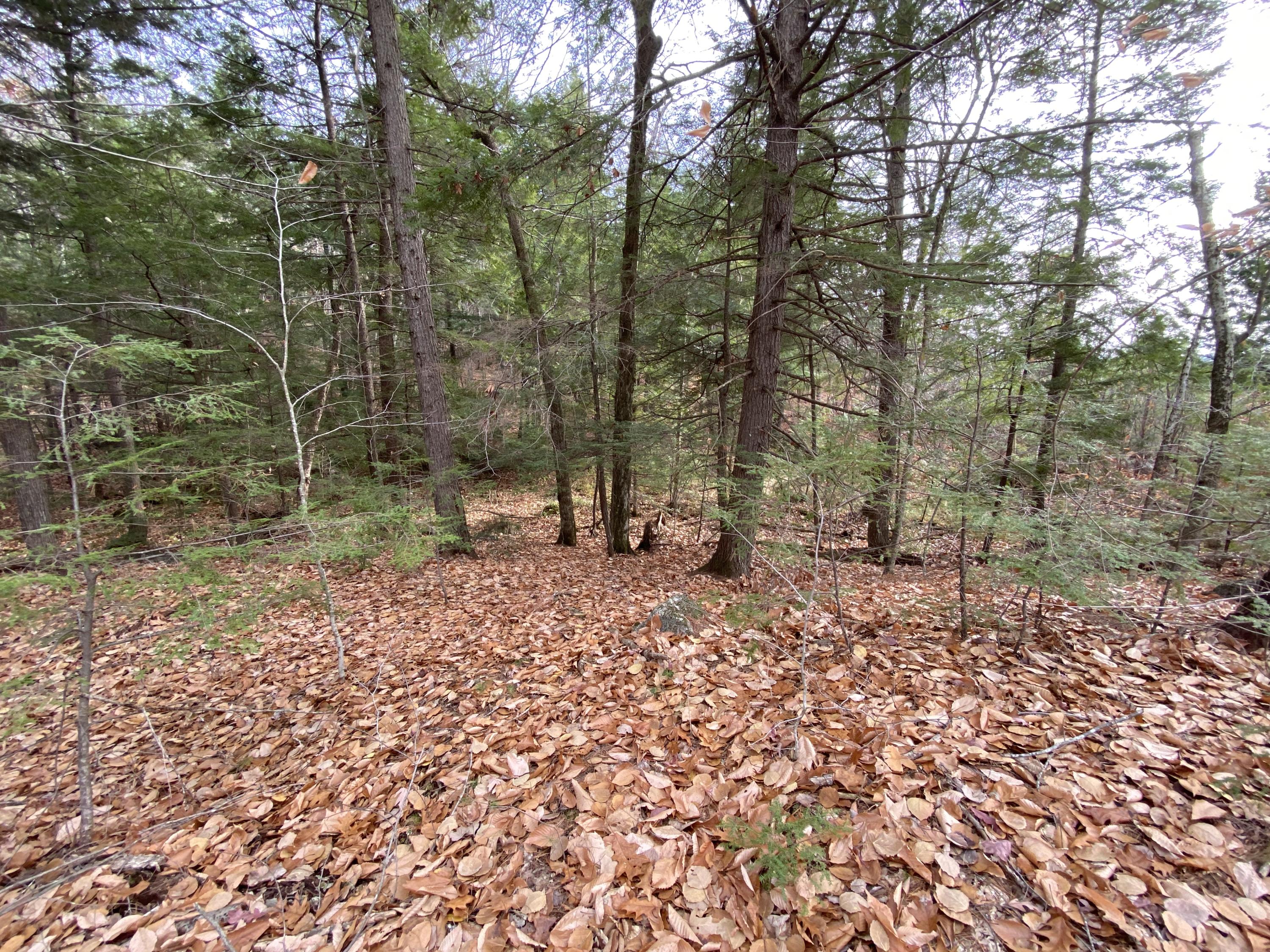 0 Libby Road, Unit LOT #1 West Newfield, ME 04095 - Photo 8 of 14 IMG_0712