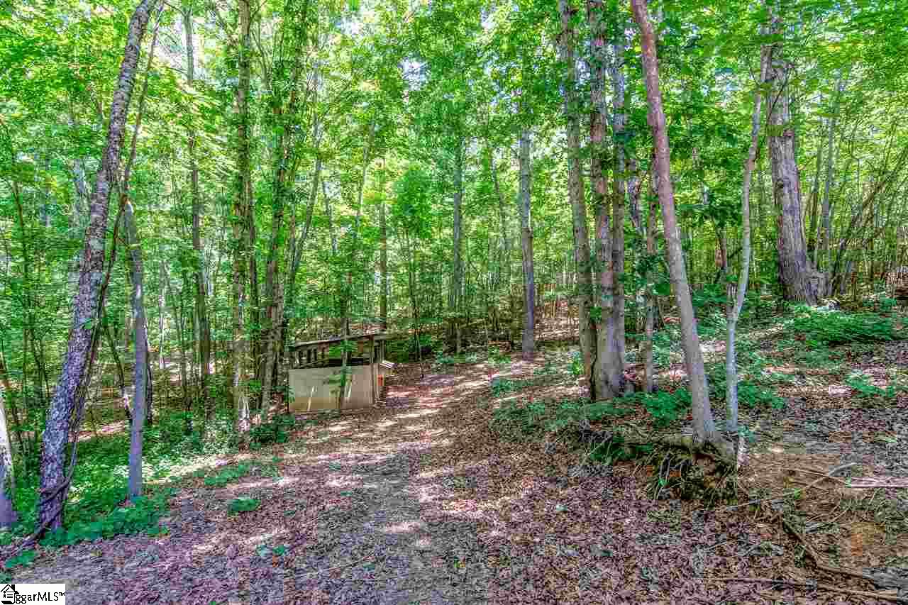 221 Spake Road Pendleton, SC 29670 - Photo 23 of 36