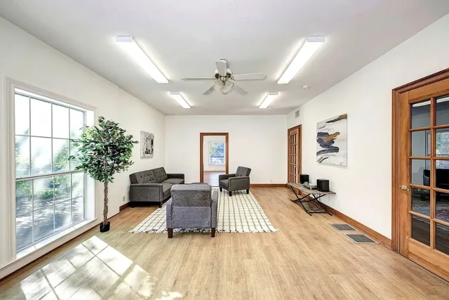 a living room with furniture and a potted plant