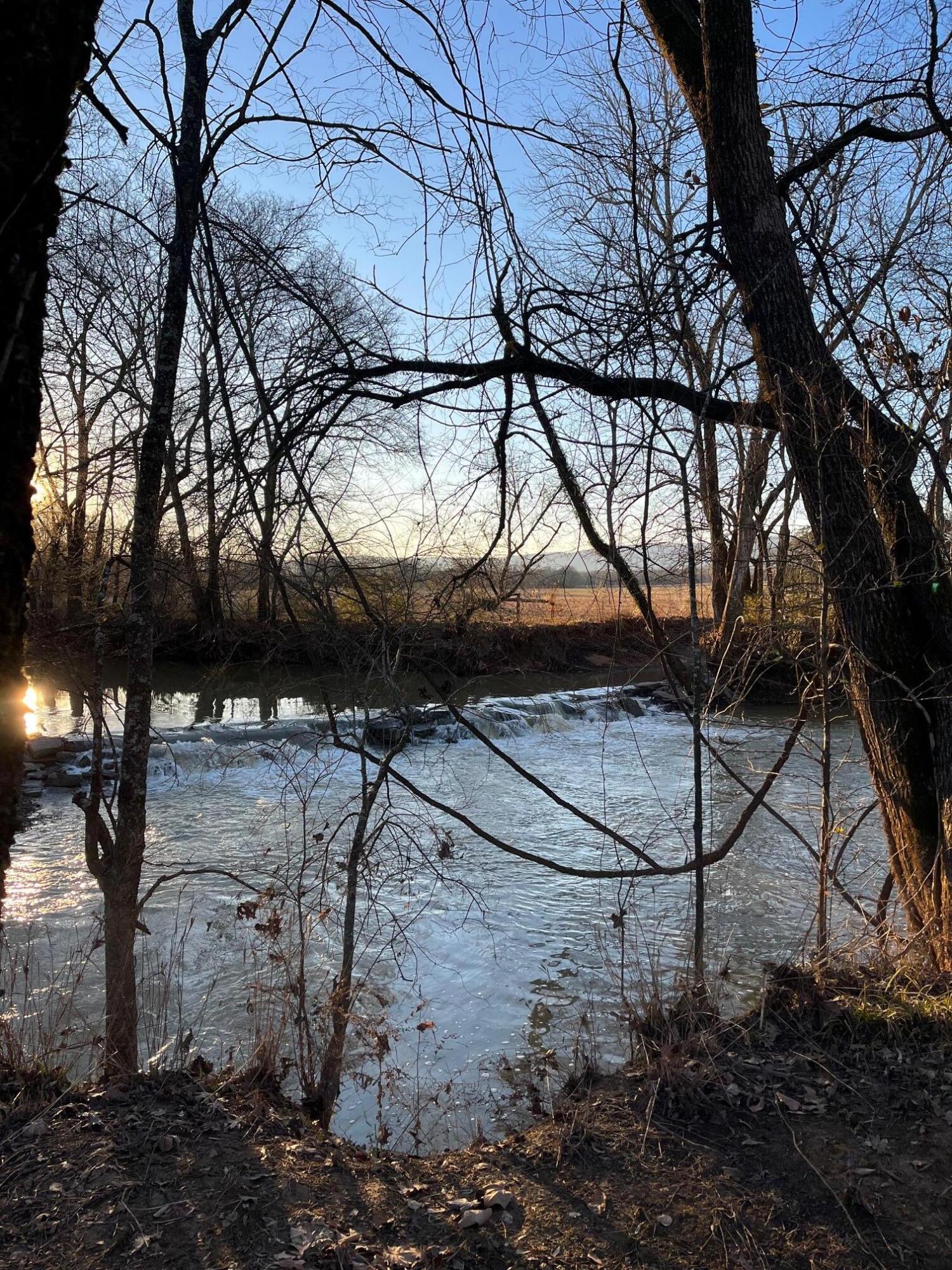 313 Lowry Lane Chickamauga, GA 30707 - Photo 49 of 57 IMG_0051