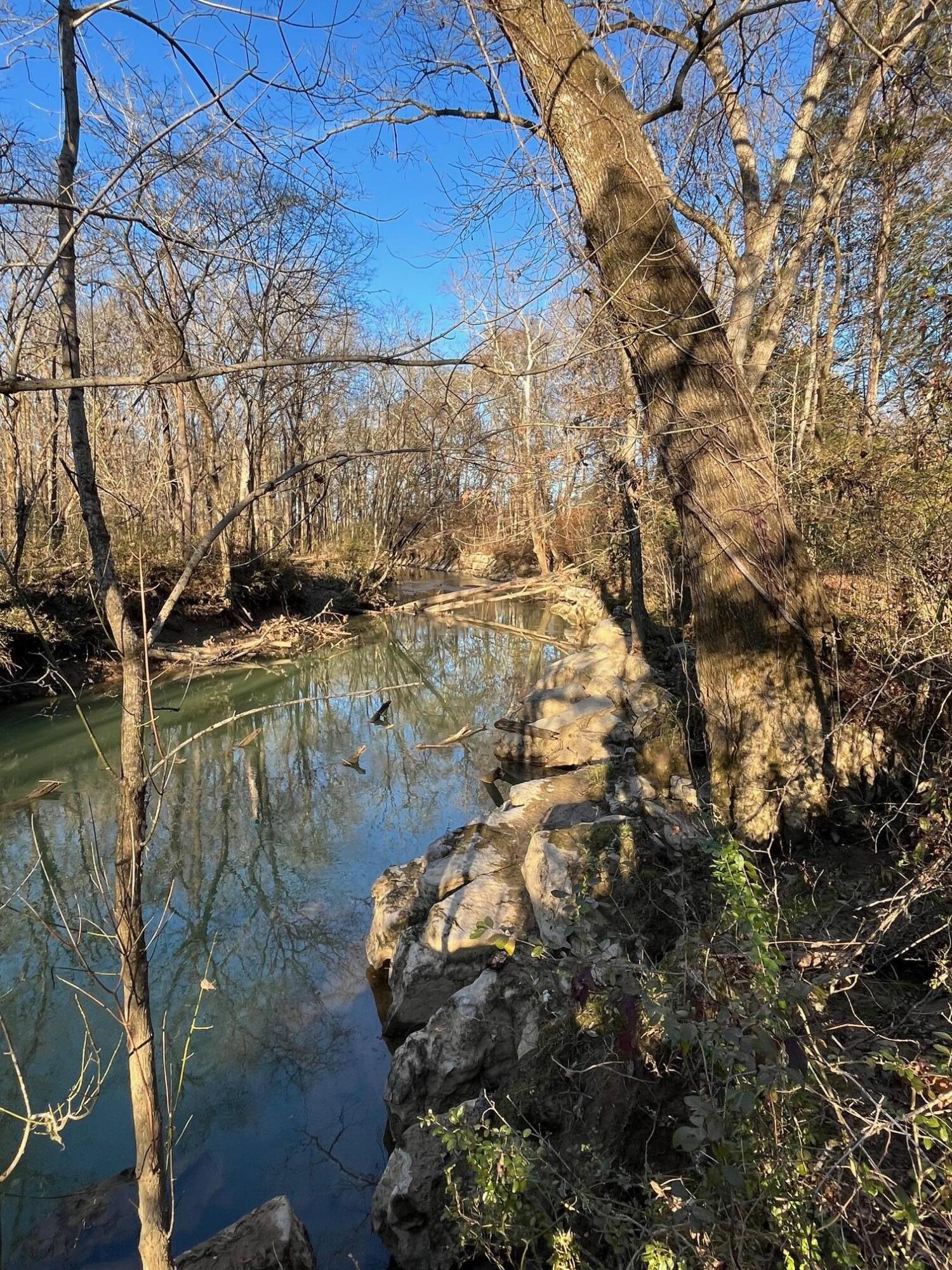 313 Lowry Lane Chickamauga, GA 30707 - Photo 61 of 62 IMG_0016