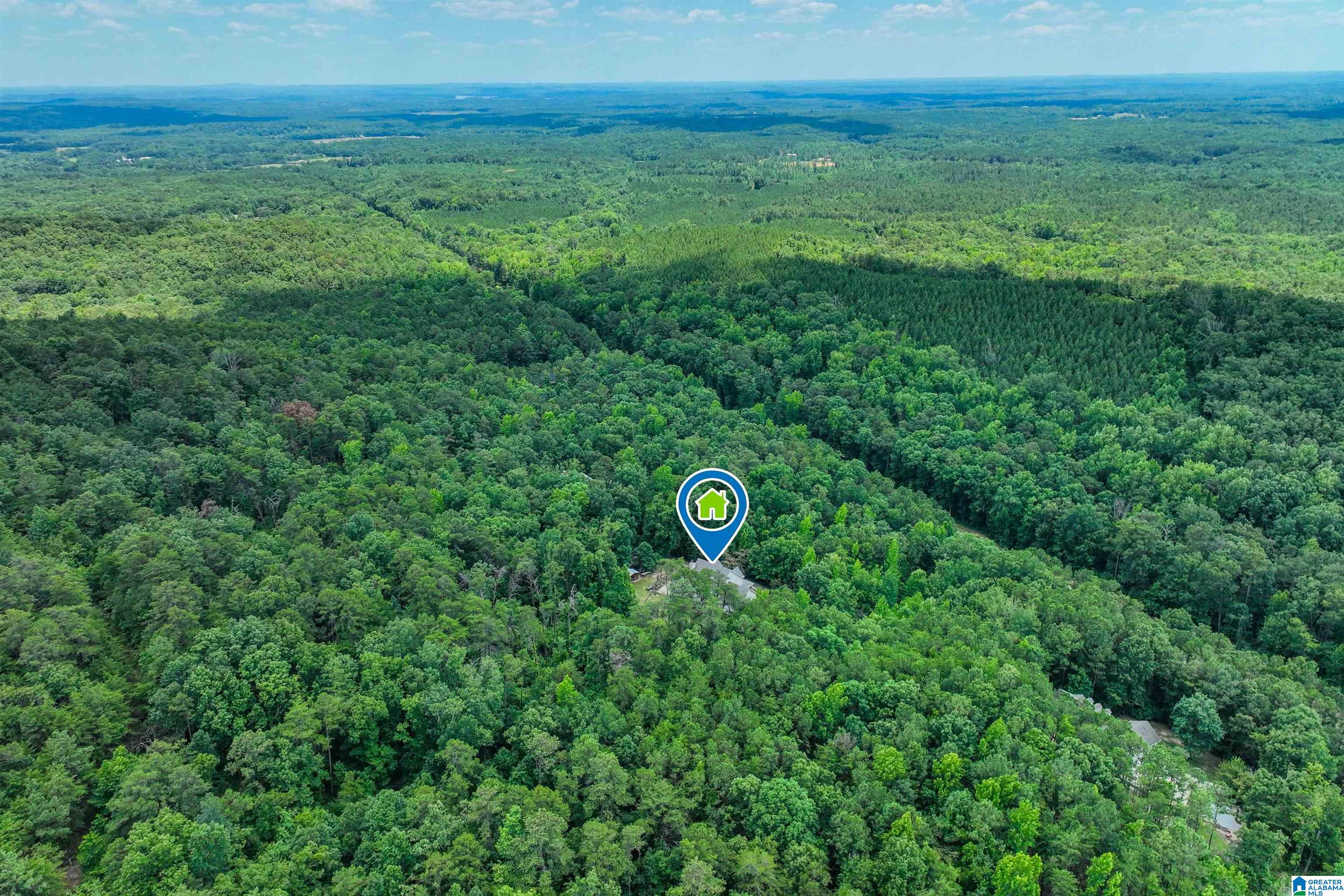 1249 Ferry Road Columbiana, AL 35051 - Photo 67 of 70