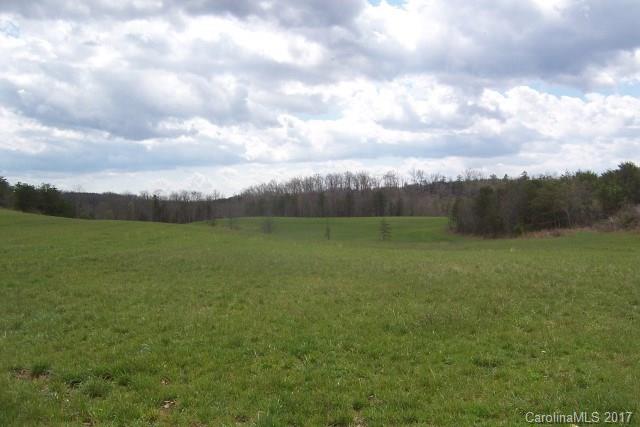 0 Big Level Road, Unit 13 Mill Spring, NC 28756 - Photo 2 of 11