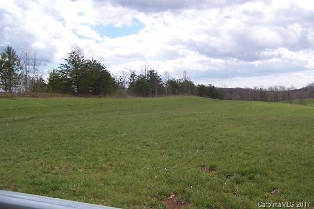 0 Big Level Road, Unit 13 Mill Spring, NC 28756 - Photo 3 of 11