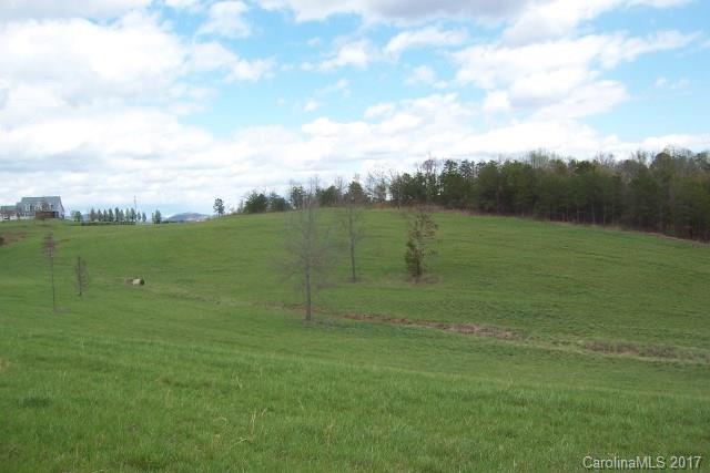 0 Big Level Road, Unit 13 Mill Spring, NC 28756 - Photo 4 of 11