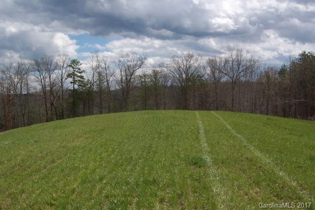 0 Big Level Road, Unit 13 Mill Spring, NC 28756 - Photo 7 of 11
