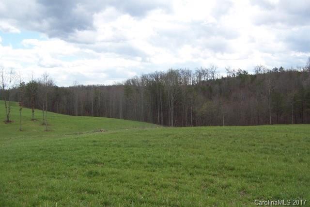 0 Big Level Road, Unit 13 Mill Spring, NC 28756 - Photo 8 of 11