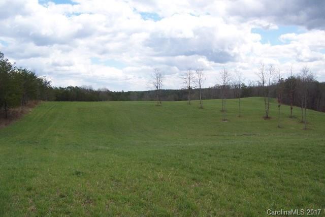 0 Big Level Road, Unit 13 Mill Spring, NC 28756 - Photo 9 of 11