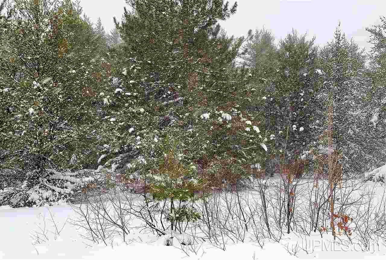 Tbd Obenhoff Road Atlantic Mine, MI 49905 - Photo 5 of 6 Gallery Image 5