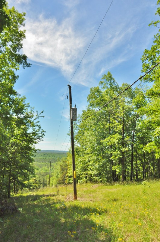 817 Barnes Mill Road Hamilton, GA 31811 - Photo 26 of 26 View from Mountain Top