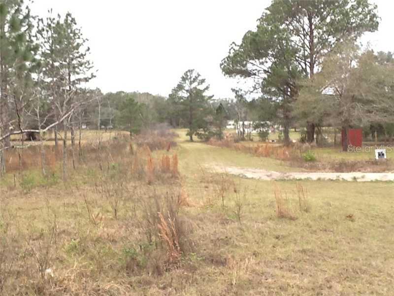 Northeast 148th Terrace Road Fort McCoy, FL 32134 - Photo 1 of 1 Exterior Front - View from street down deeded easment