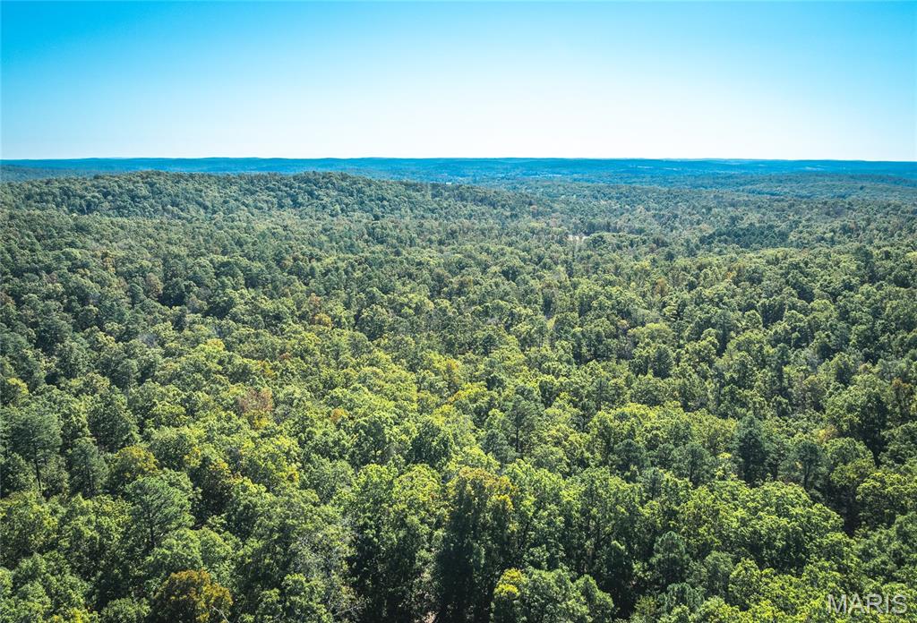 13102 Pelican Ridge Road Potosi, MO 63664 - Photo 12 of 95