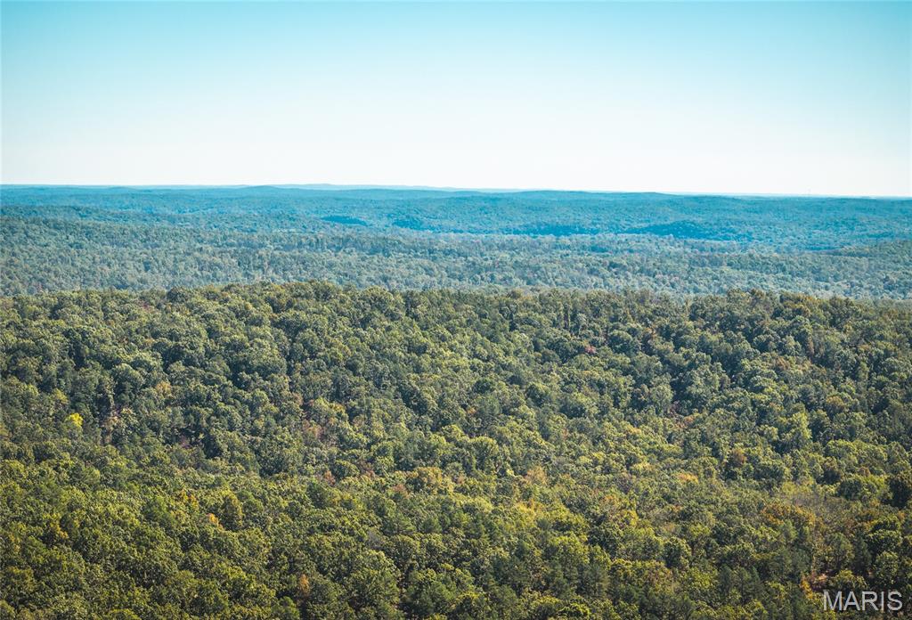 13102 Pelican Ridge Road Potosi, MO 63664 - Photo 13 of 95