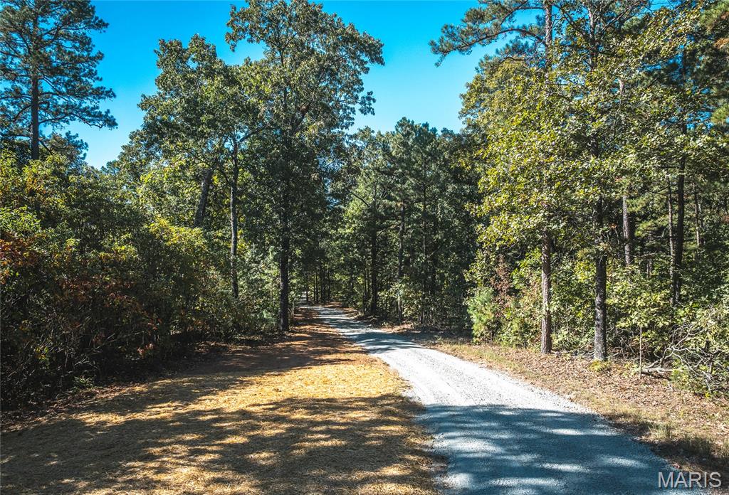 13102 Pelican Ridge Road Potosi, MO 63664 - Photo 16 of 95