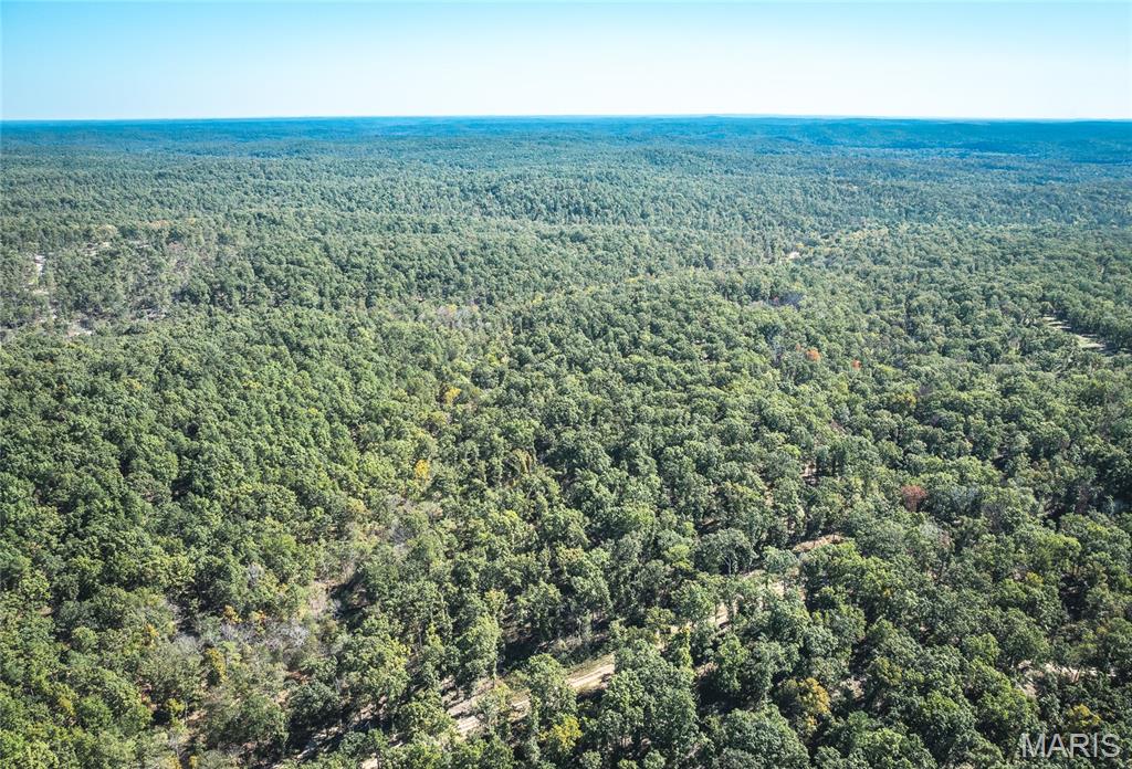 13102 Pelican Ridge Road Potosi, MO 63664 - Photo 21 of 95