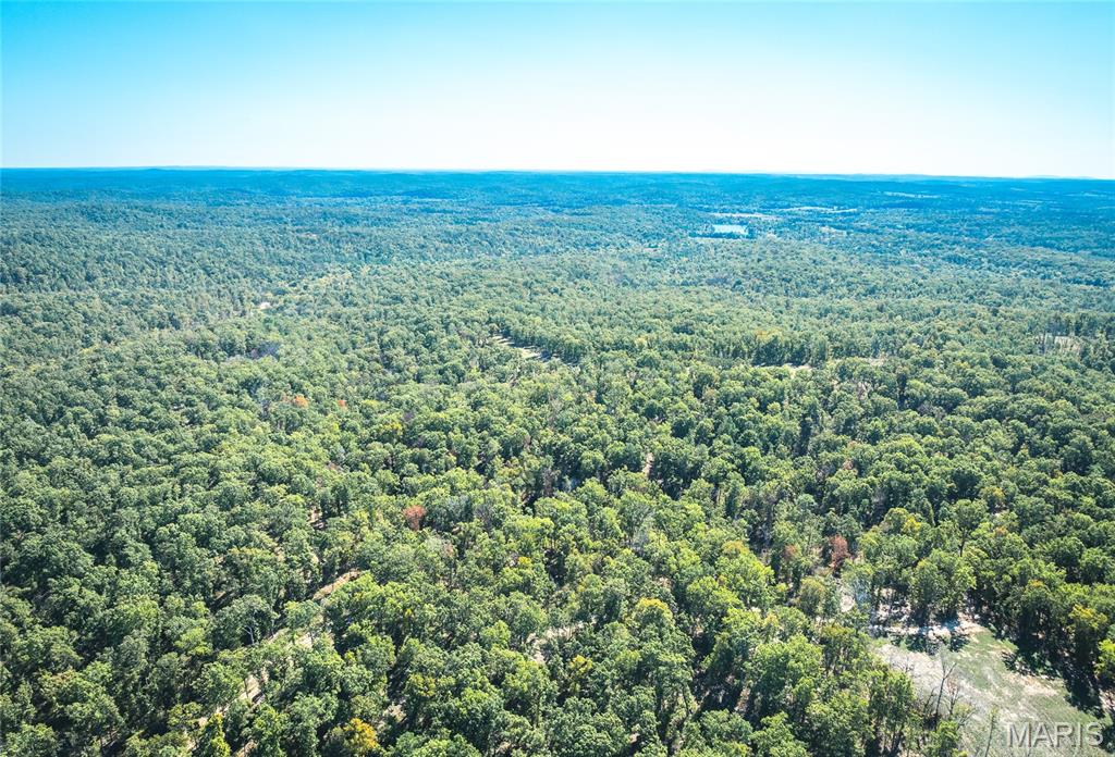 13102 Pelican Ridge Road Potosi, MO 63664 - Photo 22 of 95