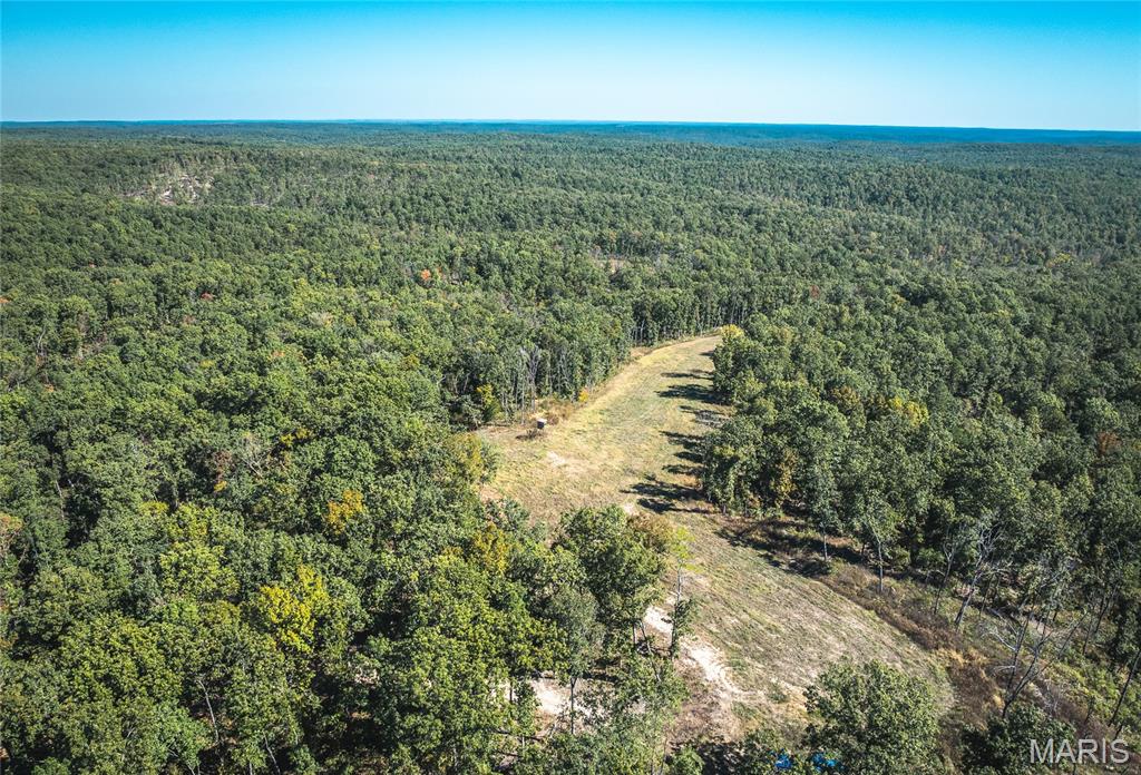 13102 Pelican Ridge Road Potosi, MO 63664 - Photo 28 of 95