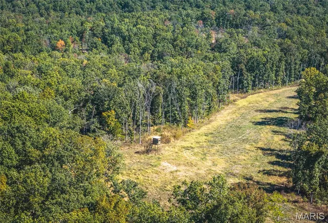 $2,150,000 | 13102 Pelican Ridge Road, Potosi, MO 63664