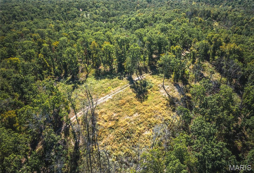 13102 Pelican Ridge Road Potosi, MO 63664 - Photo 30 of 95